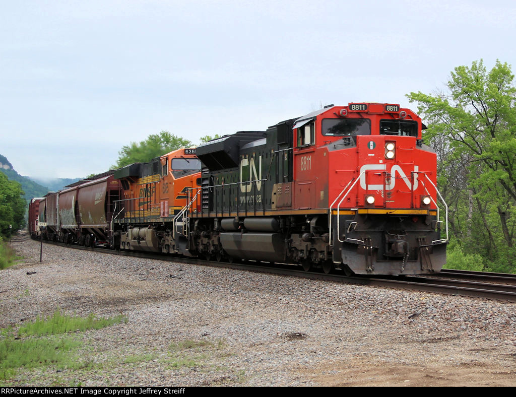 CN 8811